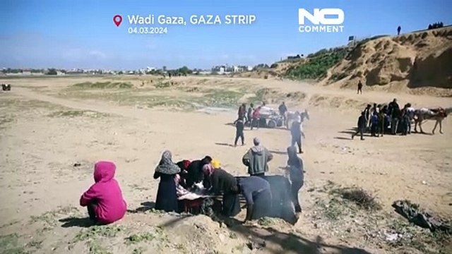NO COMMENT: Miles de palestinos huyen hacia el sur de la Franja de Gaza en busca de comida