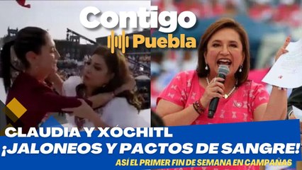De Jalones de Greñas a Pactos de Sangre: Sheinbaum y Xóchitl Gálvez en sus Primeros Actos de Campaña ️ #Elecciones2024