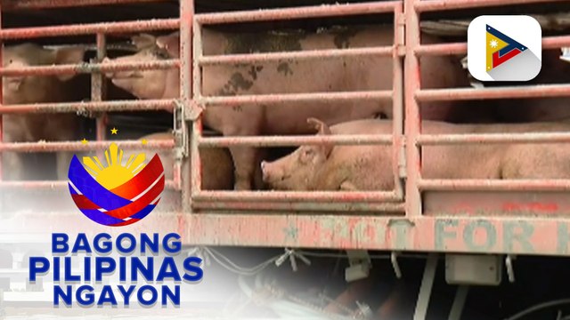 Panayam kay Spokeperson Asec. Arnel De Mesa ng Department of Agriculture