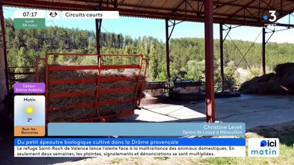 A Mévouillon, la Ferme de Louye, son petit épeautre en grains, farines et oreillers, ses lavandes et lavandins