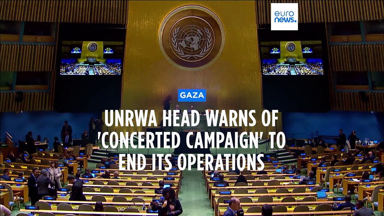 Children in northern Gaza dying of starvation, says WHO