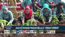 Mbak Ita Bersama Penggerak PKK Semarang payakan Jaga Ketahanan Pangan Melalui rban Farming
