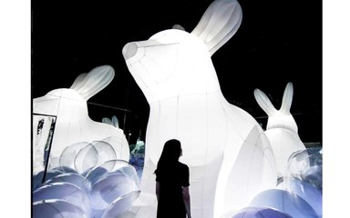 تعرّف على معرض "الطبيعة الخالدة" في دبي