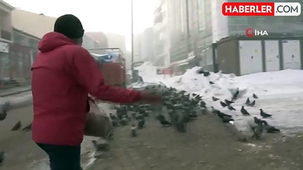 Aç kalan güvercinleri esnaf besliyor