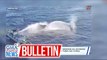 4 na tauhan na kasama sa resupply mission sa Ayungin Shoal, sugatan sa pambobomba ng tubig ng China Coast Guard | GMA Integrated News Bulletin
