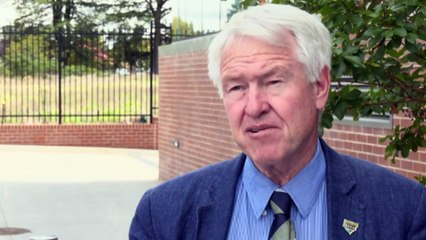 Inquiry hears eradication of insect is possible in Australia