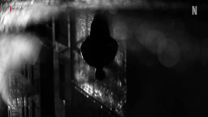 Ripley Trailer (OV) – Sci-Fi Thriller Preview