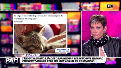Dès ce printemps, les résidents en EHPAD pourront amener avec eux leur animal de compagnie !