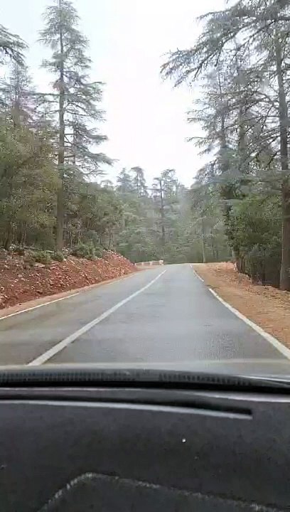 طريق عيون أم الربيع