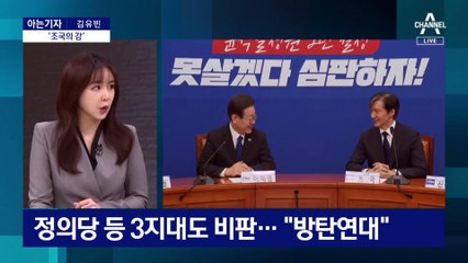 [아는기자]이재명-조국 연대하나?