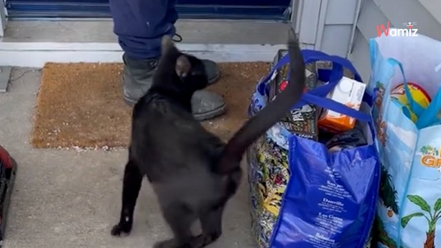 Ein Paar kommt vom Supermarkt zurück: Vor der Haustür sehen sie etwas, das ihr Leben verändern wird
