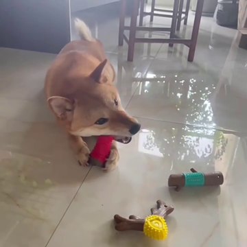 Wholesale Durable Pet Chew Toys For Dogs | Eco-Friendly Dental Health Bamboo Stick With TPR | Factory Direct