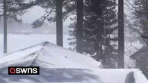 Video shows South Lake Tahoe resident attempt to dig out pathways after snow blizzard hits California