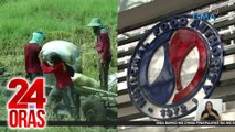 DA, makipagtulungan sa Senate probe sa umano'y patalong pagbenta ng bigas sa pinaborang traders | 24 Oras