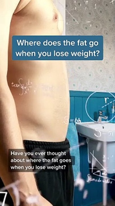 What happens to fat when you lose weight is pretty wild.