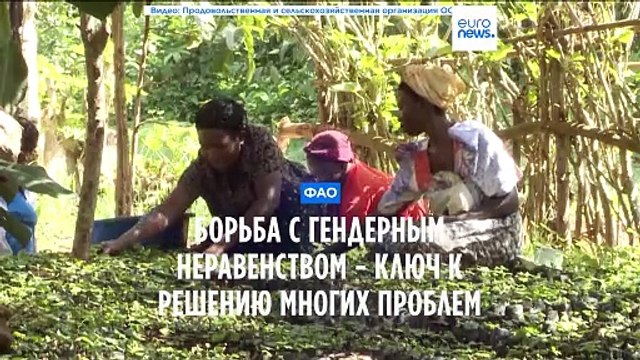 ФАО: устранение гендерного неравенства - ключ к решению многих проблем