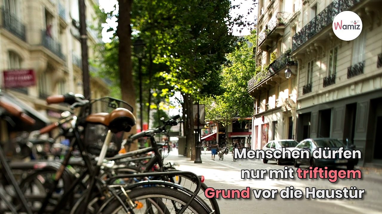 Frau geht Gassi: Polizei sprachlos, als sie das Ende der Leine sieht