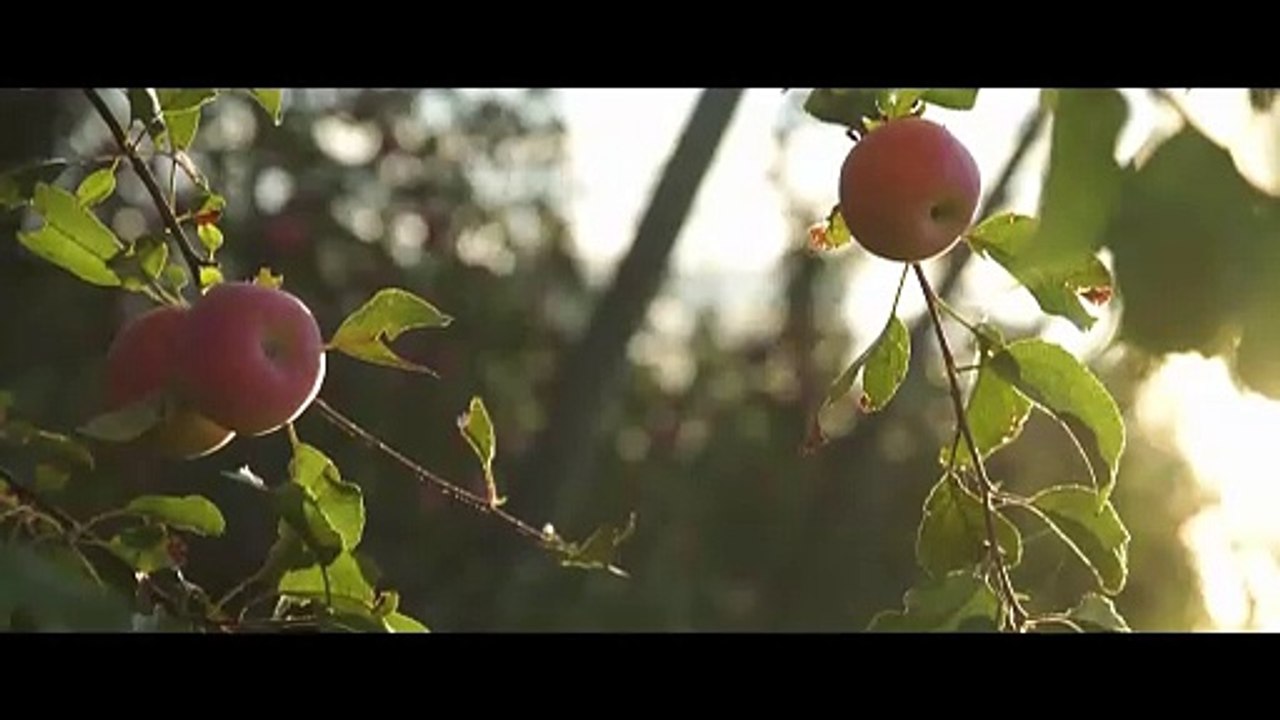 SHOWREEL CAMERAMAN TOULOUSE 2024 | VIDEOGRAPHER OCCITANIE