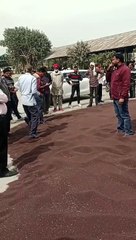 नई सरसों की आवक, चार किसान लाए