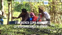 Fao, donne più penalizzate degli uomini dal cambiamento del clima