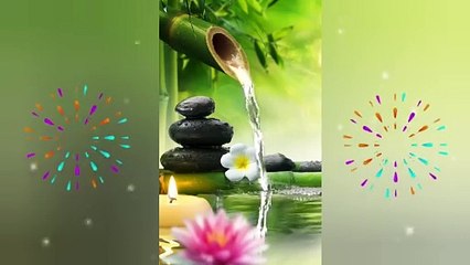 Relaxing Music Bamboo Water Fountain Meditation music