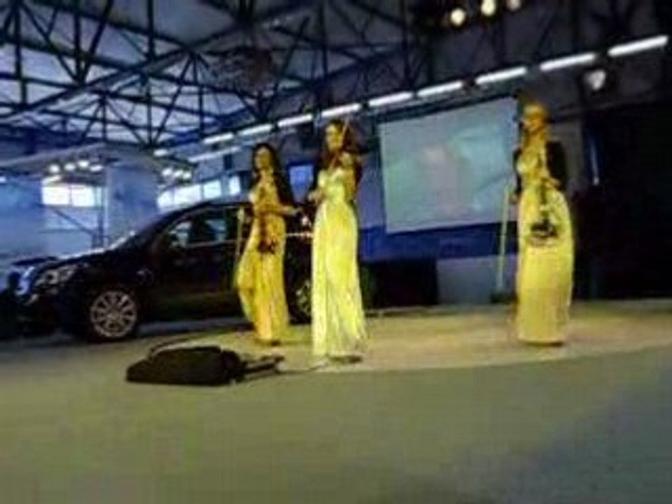 Vid regg
