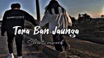 Tera Ban Jaunga [ Slow   reverb ] _ Kabir Singh