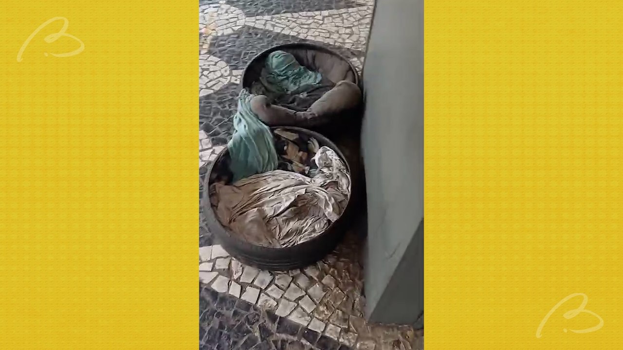 Cães do terminal de Santa Felicidade morrem envenenados