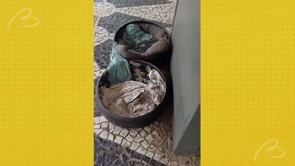 Cães do terminal de Santa Felicidade morrem envenenados