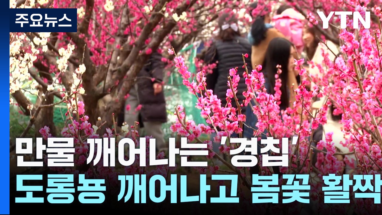 [날씨] 포근한 경칩, 큰산개구리· 도롱뇽 깨어나고 봄꽃 활짝 / YTN