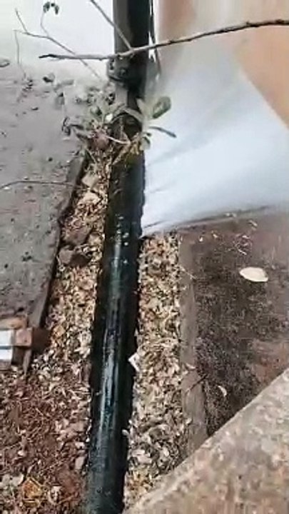 पेयजल लाइन फटने से पानी का बीस से तीस फिट ऊंचा...