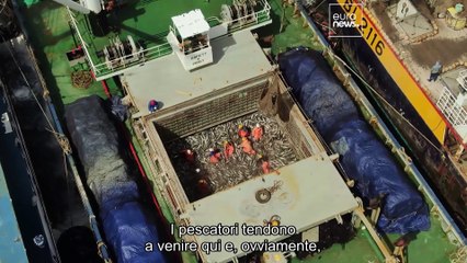 Cosa stanno facendo le Isole Marshall per difendere il loro patrimonio ittico?