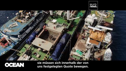 Welche Zukunft hat der Thunfischfang im Pazifik?