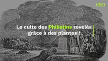 Les mystérieux cultes des Philistins révélés à travers les plantes psychédéliques retrouvées dans leurs temples antiques
