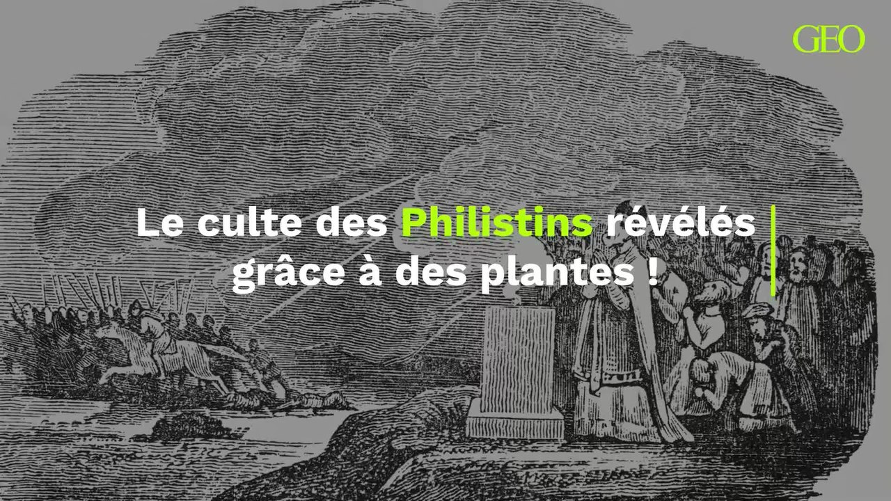 Les mystérieux cultes des Philistins révélés à travers les plantes psychédéliques retrouvées dans leurs temples antiques