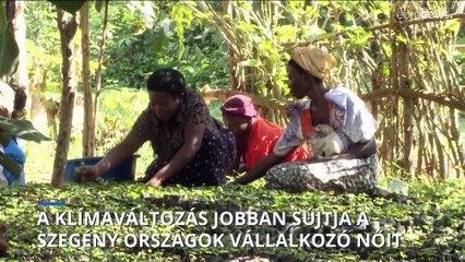 ENSZ: az éghajlatváltozás jobban sújtja a szegény országokban vállalkozó nőket a férfiaknál