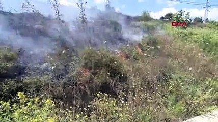 Tuzla'da otluk alanda yangın