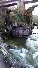 Aynı dereye 5. HES projesine belediye başkanı isyan etti