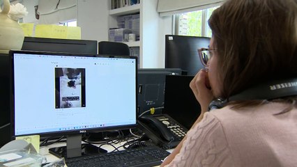 Facebook, Instagram y Threads sufren una caída global de su servicio