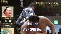 Little Sumo Wrestler flips Opponent double his size, a breakdown