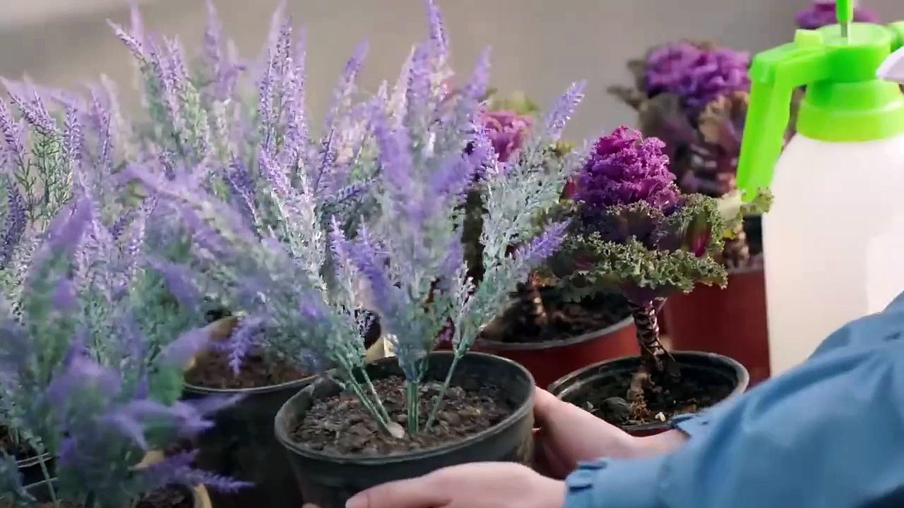 Rüzgarlı Tepe 47. Bölüm Fragmanı _ Winds of Love Episode 47 Promo