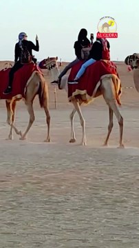 Camel ride in Dubai Safari Desert with Al Qudra Tours