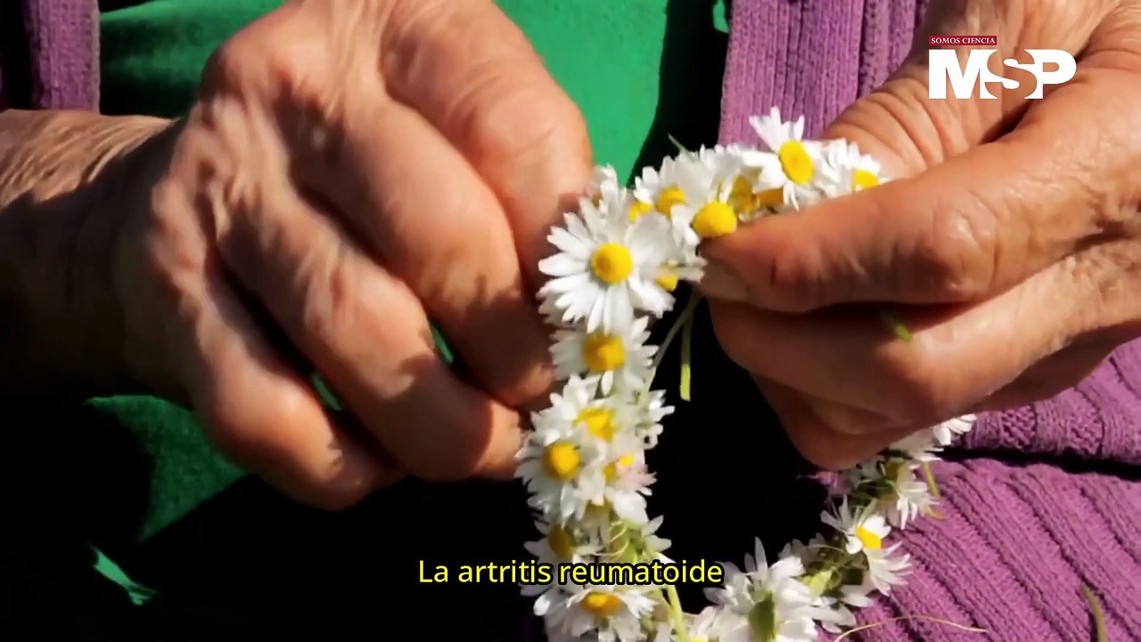 ¿Cómo la artritis reumatoide aumenta el riesgo de parkinson? - #EspecialMSP