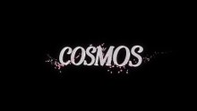 COSMOS "Logo animation for florist studio" (Alpha channel)