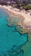 "Conquering Challenges