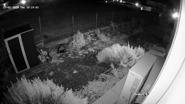 Tentano d’introdursi all’interno di un’abitazione di Castrovillari, ecco i video che incastrano i ladri