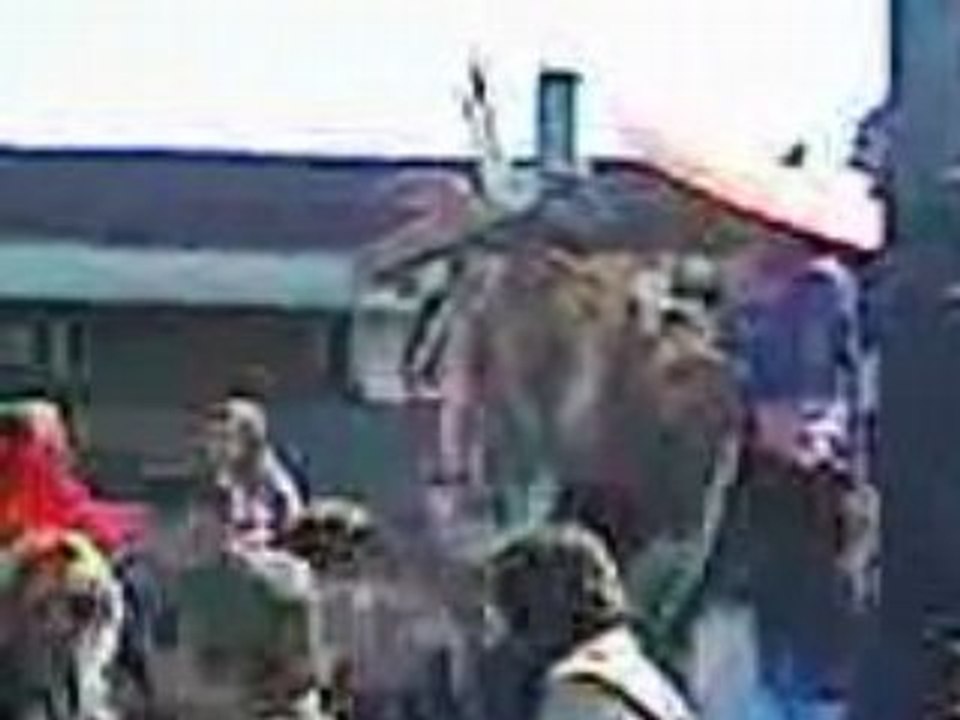 carnaval de tourlaville 2008