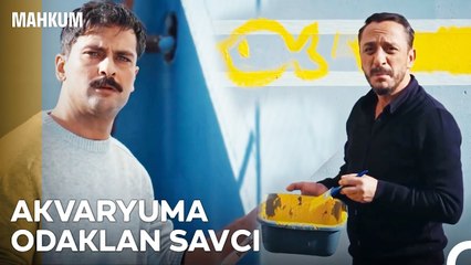 Hacı'dan Fırat'a Şifreli Mesaj! - Mahkum 4. Bölüm