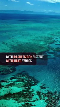 Australia’s Great Barrier Reef suffers major coral bleaching