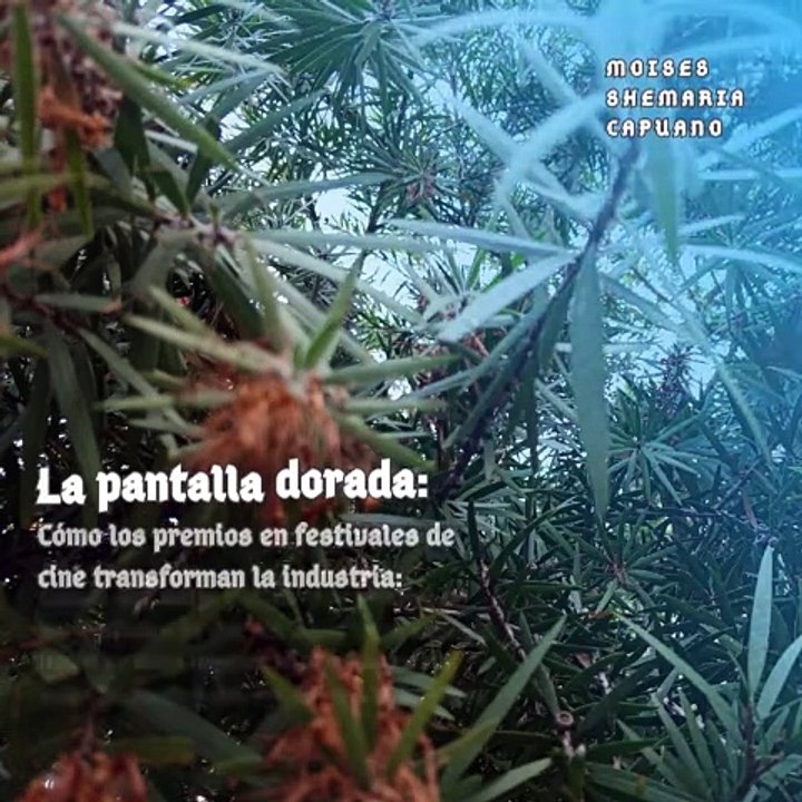 Moises Shemaria Capuano| La pantalla dorada (parte 1)